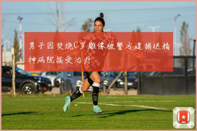 男子因焚烧C罗雕像被警方逮捕送精神病院接受治疗